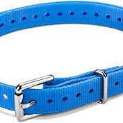 GARMIN Collar Strap,3/4" Roller Buckle,Tuck-Ring,Nickel,Blue