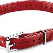 GARMIN Collar Strap,3/4" Roller Buckle,Tuck-Ring,Nickel,Red