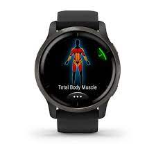 GARMIN Venu 2 Black with Slate Bezel