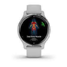GARMIN Venu 2S Mist Gray with Silver Bezel